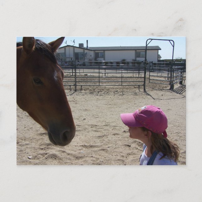 Behälter u. Baylie Postkarte (Vorderseite)