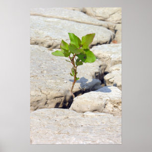 Beharrlichkeit Poster