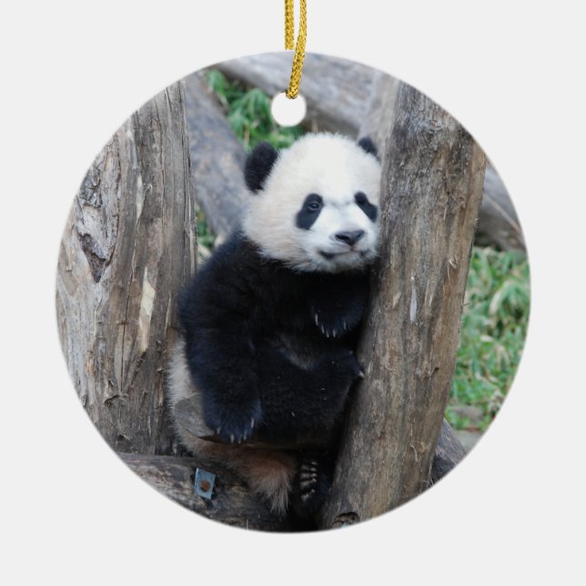 Bei Bei Pandajungsverzierung Keramikornament (Vorne)