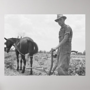 Bei der Arbeit in der Baumwolle Poster