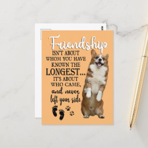 Bei der Freundschaft mit Corgi geht es nicht darum Postkarte