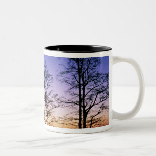 bei Sonnenuntergang silhoutierte Bald-Zypressen, Zweifarbige Tasse