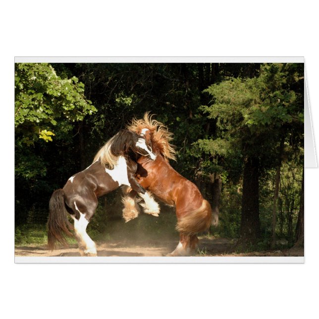 Bei Sonnenuntergang spielen (Vorderseite (Horizontal))