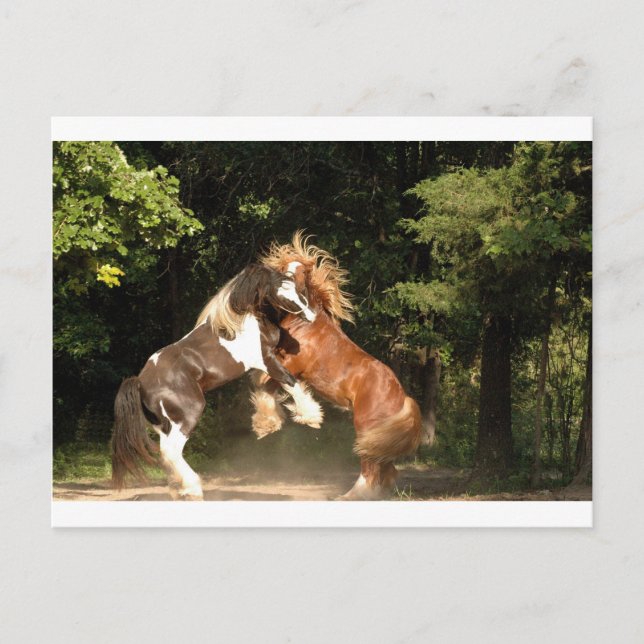 Bei Sonnenuntergang spielen Postkarte (Vorderseite)