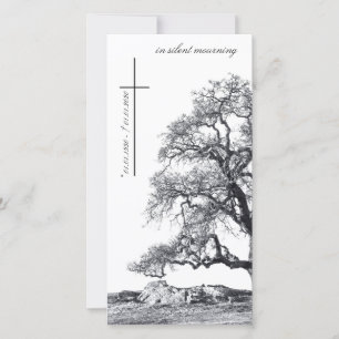 Bei stille Trauer - Baum auf der Wiese