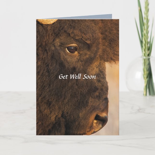 Beide Enden der Humorvollen Buffalo-Karte Karte (Vorderseite)