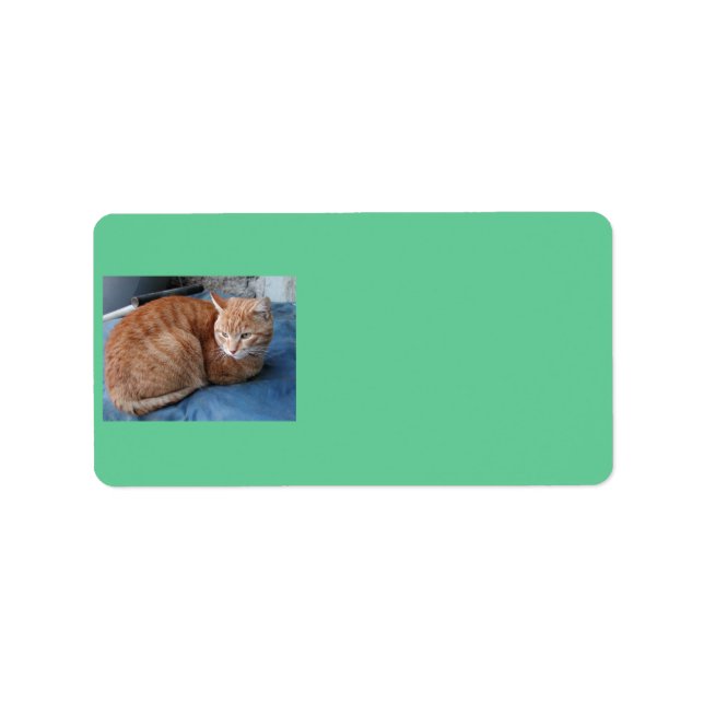 Beige Cat Address-Label Adressaufkleber (Vorne)