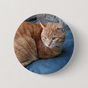 Beige Cat Button