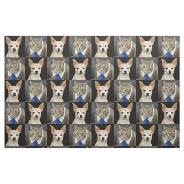 Beige Chihuahua und graue Tabbykatze mit blauer Stoff (Fat Quarter (45,7 x 55,9 cm))