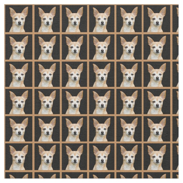 Beige gemalte Chihuahua auf schwarzem Hintergrund Stoff (Nahaufnahme)
