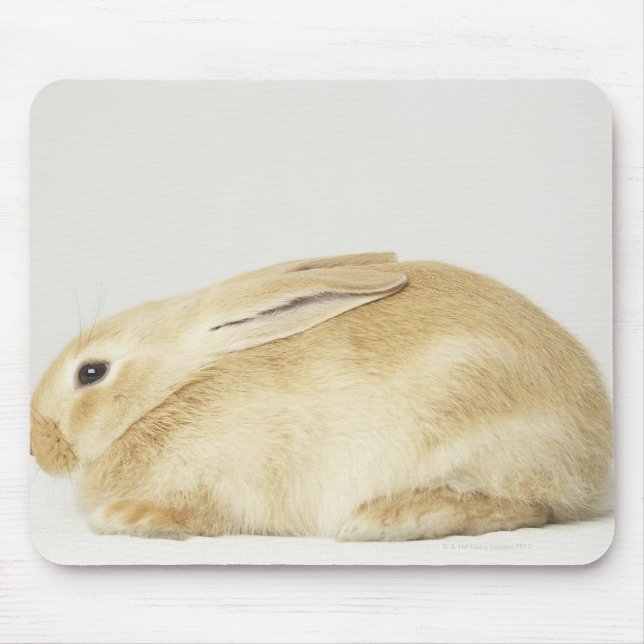 Beige Hasen auf weißem Grund 4 Mousepad (Vorne)