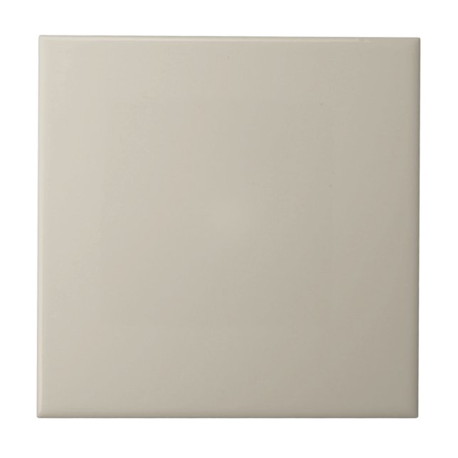 Beige Küche und Badezimmer Fliese (Vorderseite)
