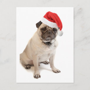 Beige Mops mit roter Weihnachtsmannmütze an Feiertagspostkarte
