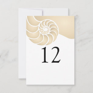 Beige Nautilus Muschel Beach Wedding
