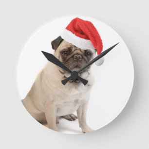 Beige pug with red santa hat on runde wanduhr