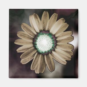 Beige Rustic Daisy Magnet