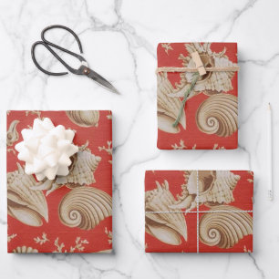 Beige Seashells auf Rot Geschenkpapier Set