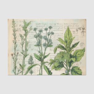 Beige Vintage Wasserfarbe Natürliche Wildblume Seidenpapier
