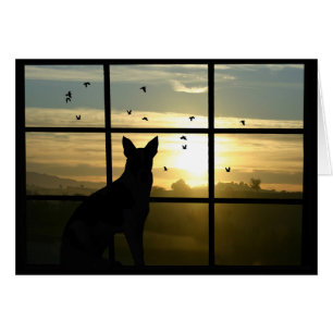 Beileid des Hundes, Verlust der Hundekarte