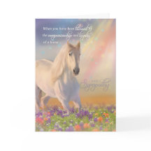 Beileid eines Pferdes Rainbow