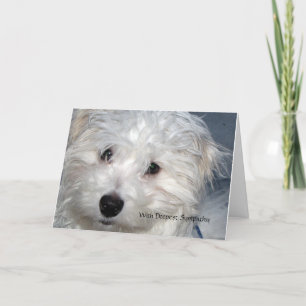 Beileid eines Tieres - Verlust eines Hundes Karte