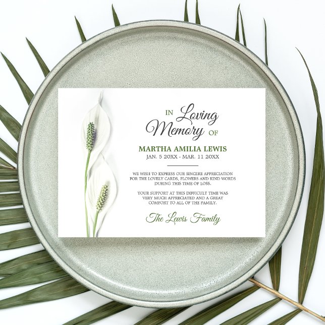 Beileid Funeral Calla Lily Blume Danke (Von Creator hochgeladen)