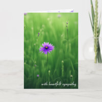 Beileid für lila Wildblumen