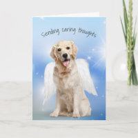 Beileid Golden Retriever Loss