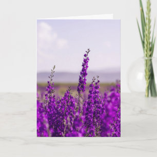 BEILEID GREETING CARD LAVENDEL PURPLE BLUMEN KARTE