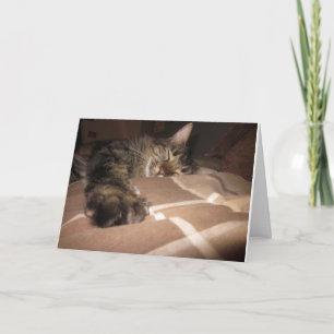 Beileid - Katze Karte