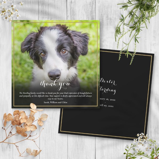Beileid Loss Foto Square Dankeskarte (Pet Loss Sympathy Photo Square Thank You Card)