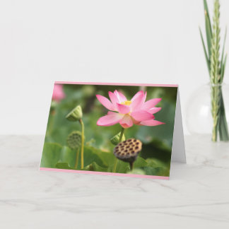 Beileid lotus karte