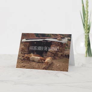 Beileid Pig Grußkarte Karte