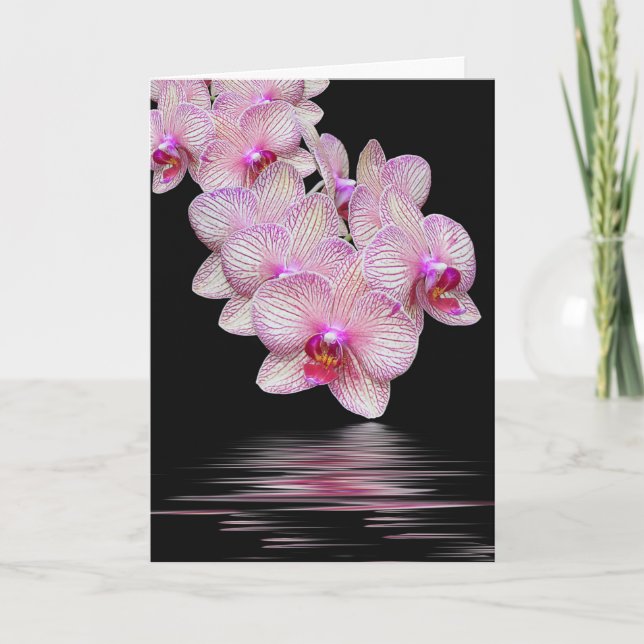 Beileid Rosa Orchideen Schwarze Reflektion Karte (Vorderseite)