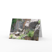 Beileid: Schwarzer Schlucht-Baum