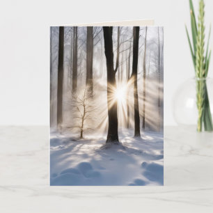 Beileid-Sonnenbänke im Winterwald Karte