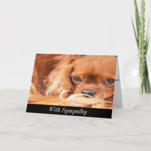 Beileid Sweet Cavalier King Charles Spaniel Card Karte
