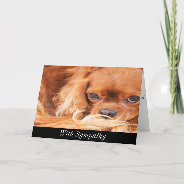 Beileid Sweet Cavalier King Charles Spaniel Card Karte (Vorderseite)