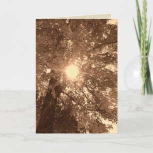 Beileid und Hoffnung Karte