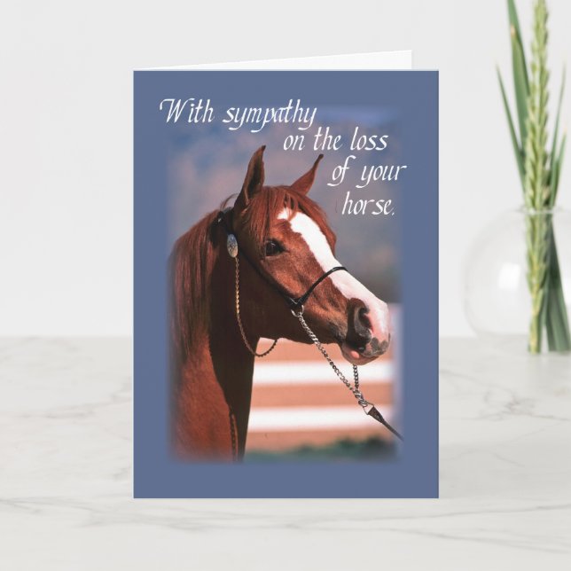 Beileid Verlust von Pferd, blau Karte (Vorderseite)