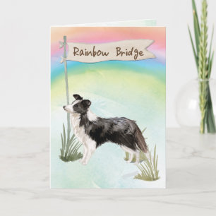 Beileid von Collie über der Regenbogenbrücke Karte