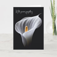 Beileid White Calla Lilie auf schwarz