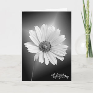 Beileid White Daisy auf Black Karte