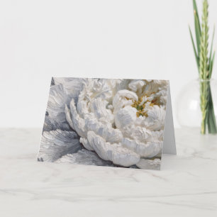 Beileid White Peony Impasto Malerei Karte