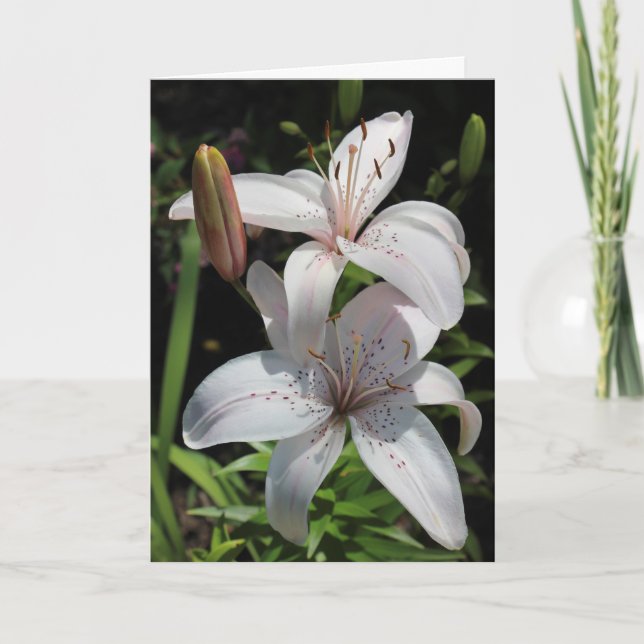 Beileids-Karte Karte (Vorderseite)