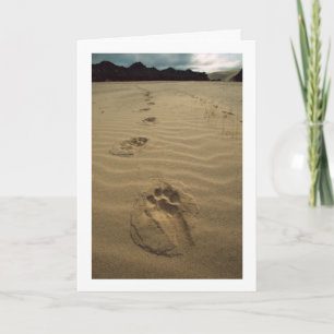 Beileids-Karte Karte