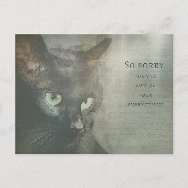 Beileidskarte Katze - Schwarz - Sympathy Card Postkarte (Vorderseite)