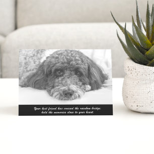 Beileidskarte Labradoodle Begrüßung Karte