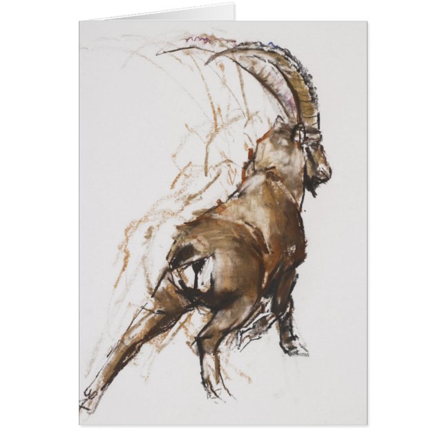 Bein-Ausdehnung (Vorne)