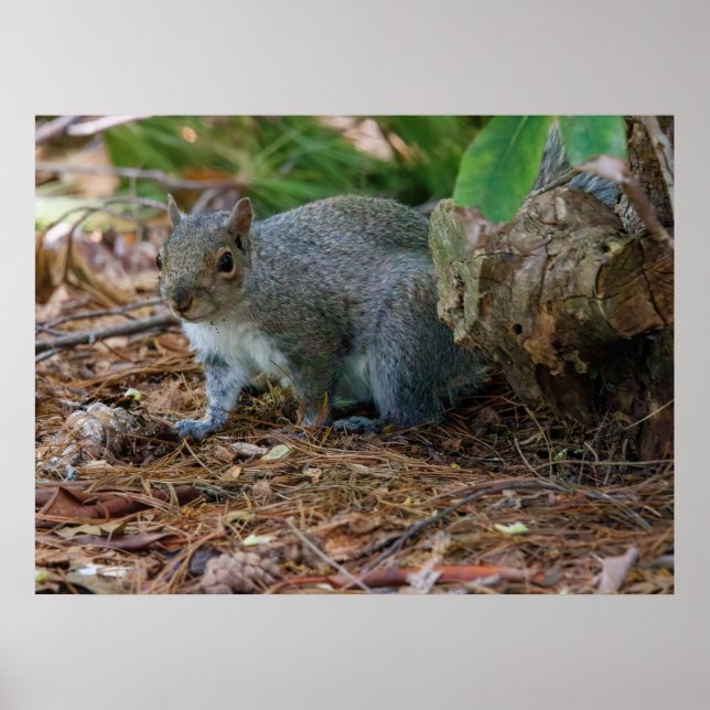 Being Careful Poster (Vorne)